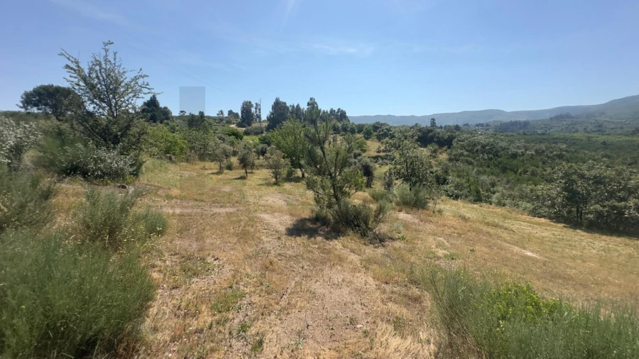 Terreno para Venda em Figueiró da Serra e Freixo da Serra Foto 19