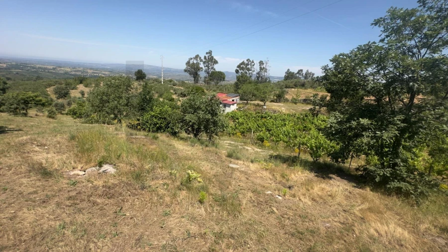 Terreno para Venda em Figueiró da Serra e Freixo da Serra Foto 13