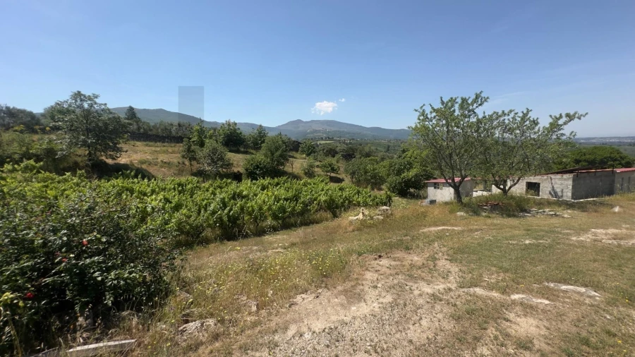 Terreno para Venda em Figueiró da Serra e Freixo da Serra Foto 40