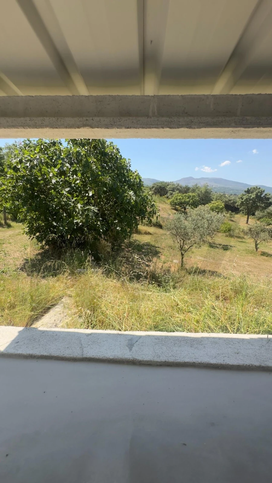 Terreno para Venda em Figueiró da Serra e Freixo da Serra Foto 33