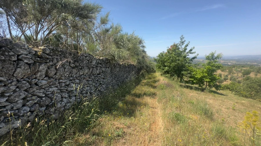 Terreno para Venda em Figueiró da Serra e Freixo da Serra Foto 14