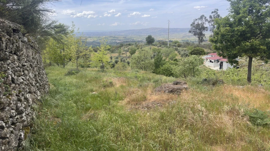 Terreno para Venda em Figueiró da Serra e Freixo da Serra Foto 6