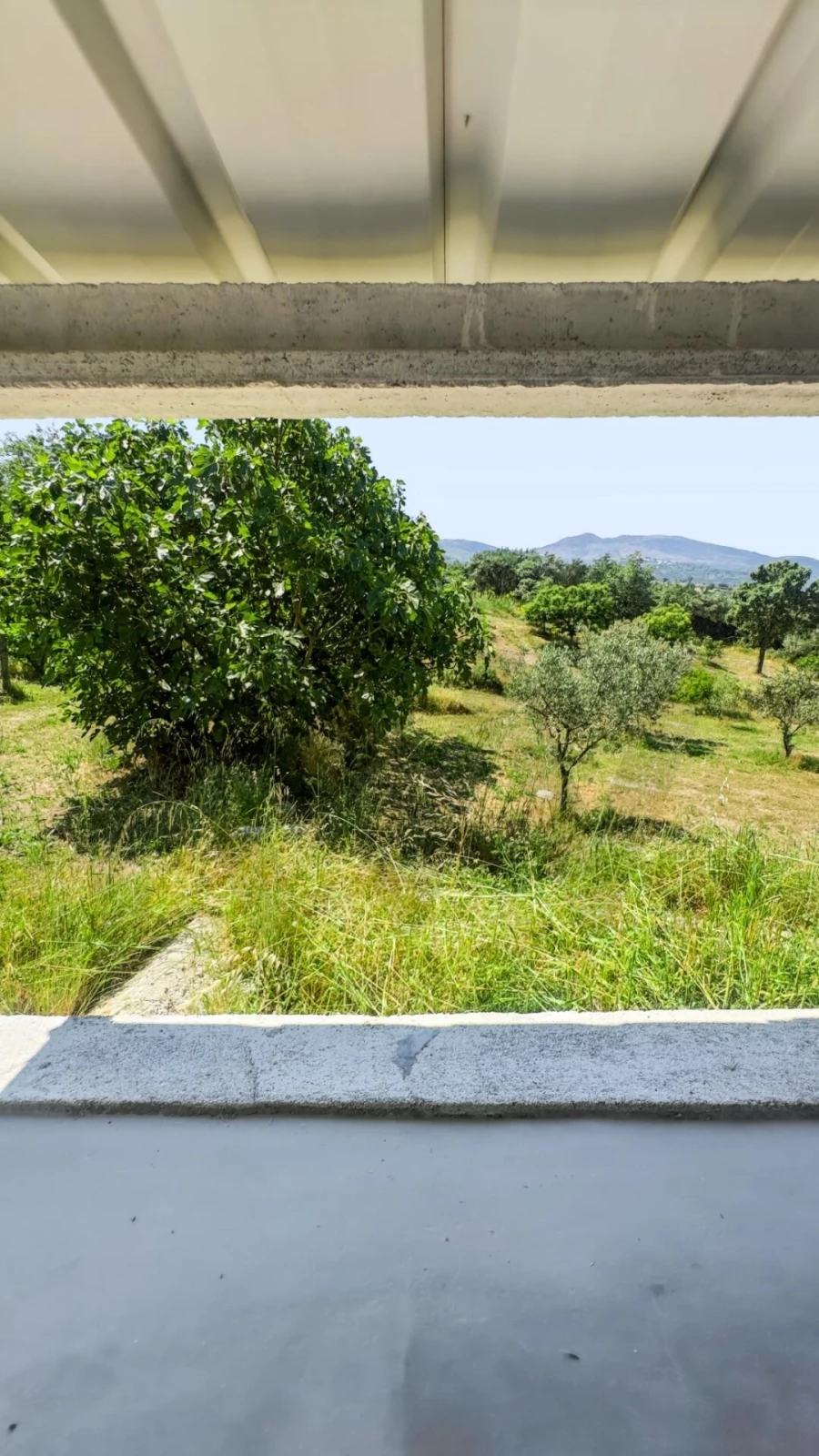 Terreno para Venda em Figueiró da Serra e Freixo da Serra Foto 15