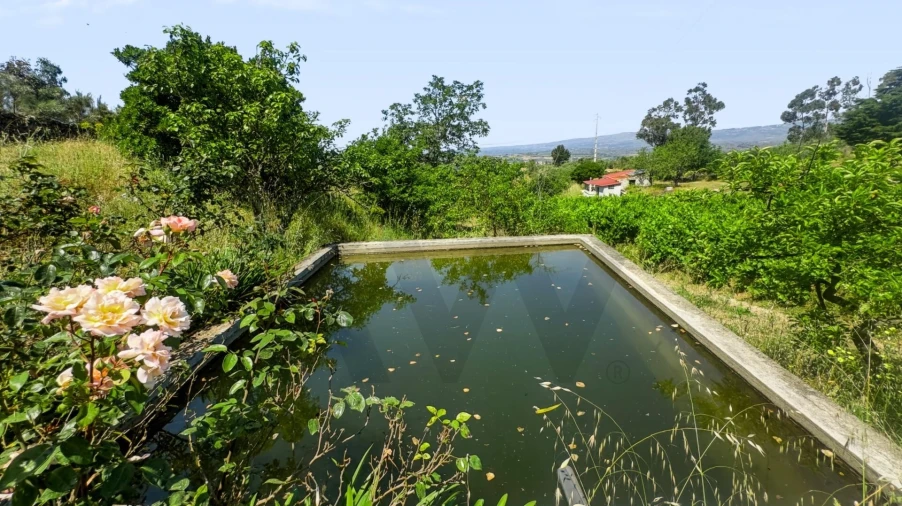 Terreno para Venda em Figueiró da Serra e Freixo da Serra Foto 48