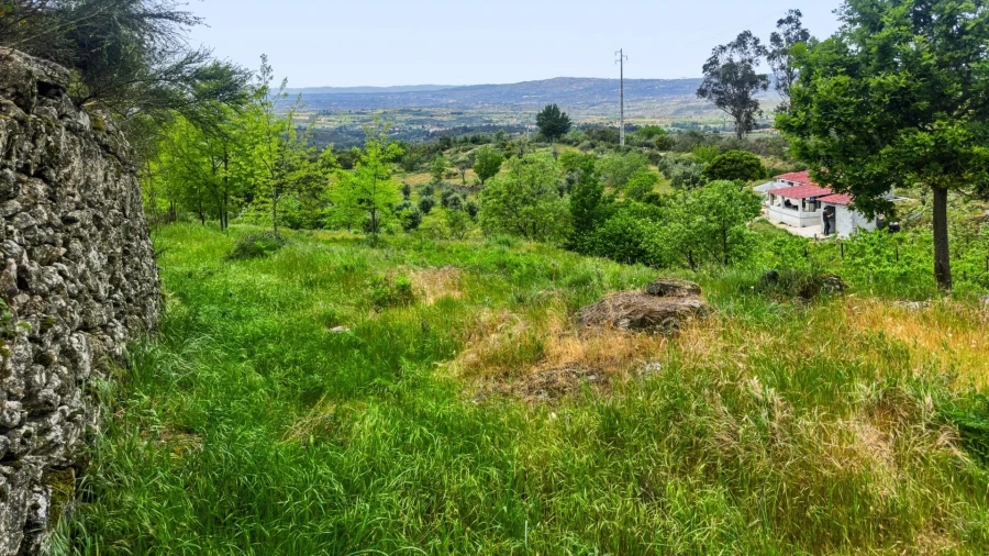 Terreno para Venda em Figueiró da Serra e Freixo da Serra Foto 42