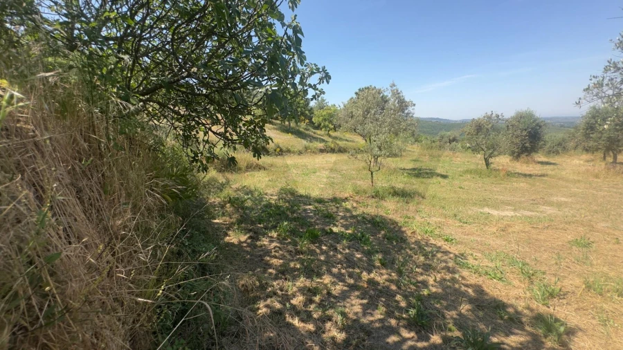 Terreno para Venda em Figueiró da Serra e Freixo da Serra Foto 15