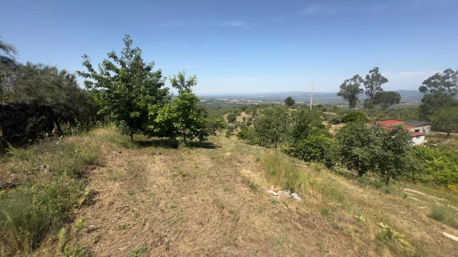 Terreno para Venda em Figueiró da Serra e Freixo da Serra Foto 12