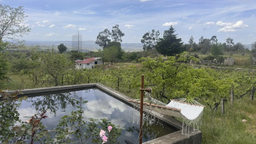 Terreno para Venda em Figueiró da Serra e Freixo da Serra Foto 5