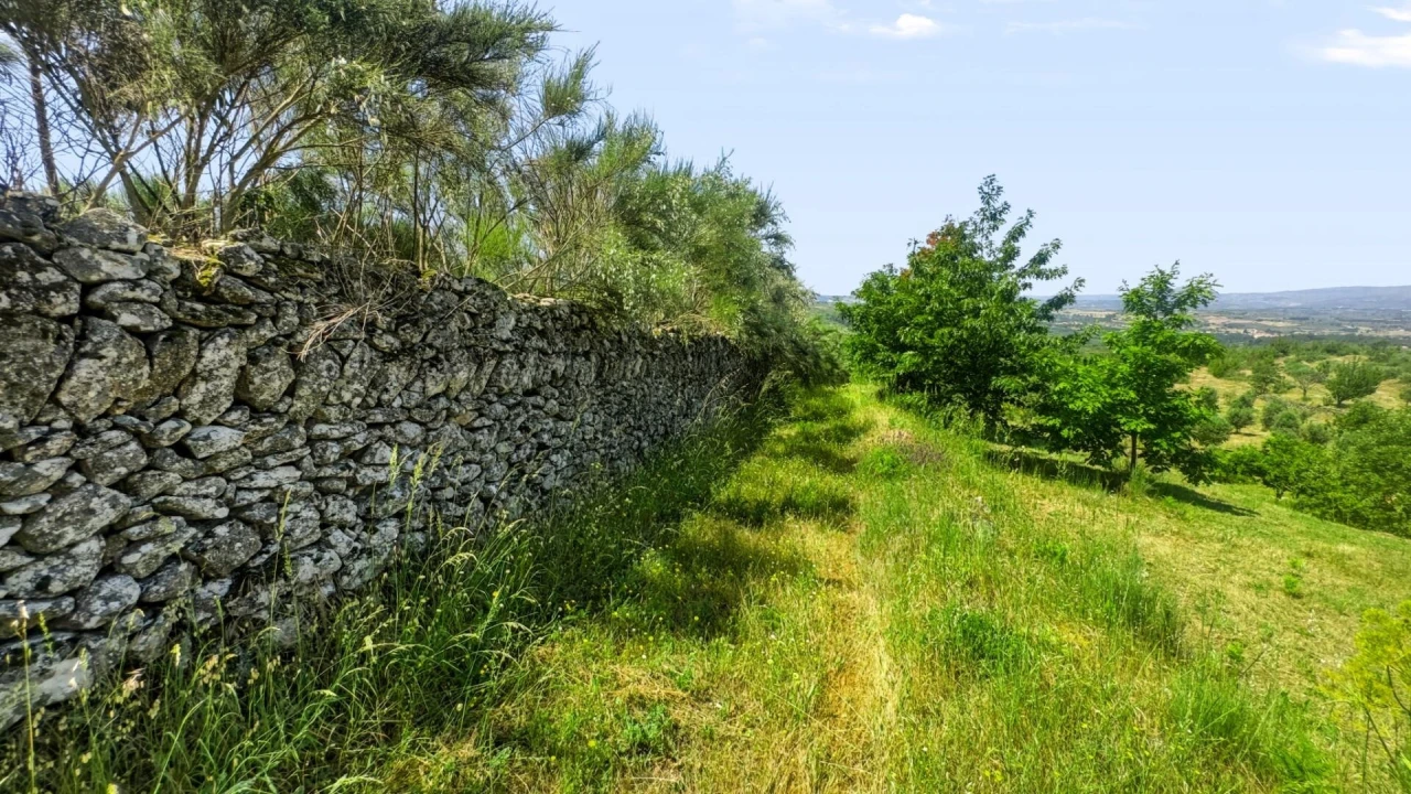 Terreno para Venda em Figueiró da Serra e Freixo da Serra Foto 38