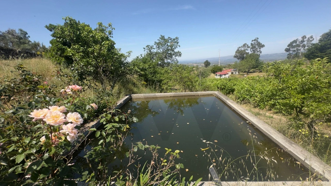 Terreno para Venda em Figueiró da Serra e Freixo da Serra Foto 11