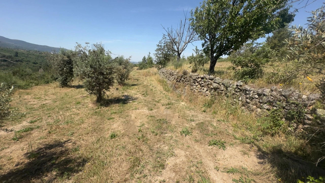 Terreno para Venda em Figueiró da Serra e Freixo da Serra Foto 18