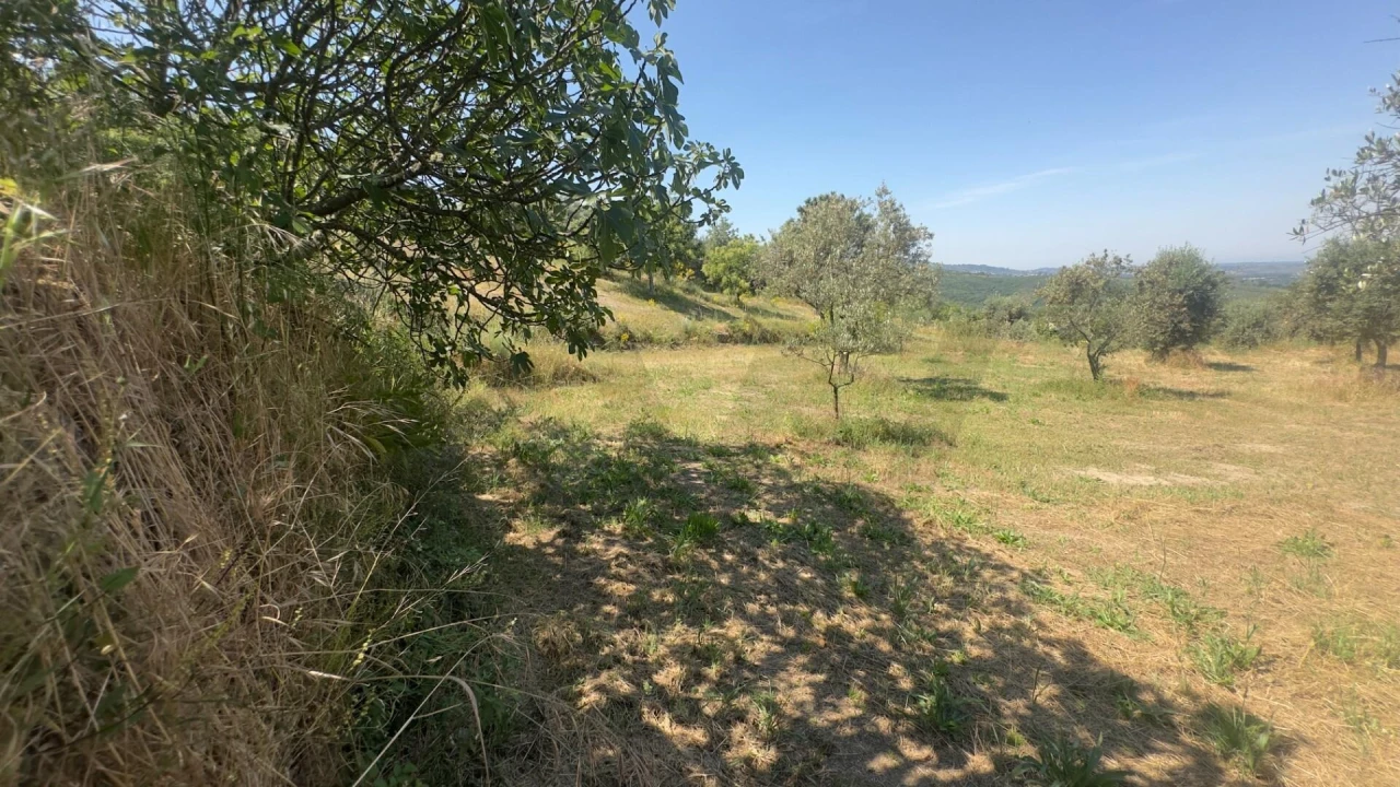 Terreno para Venda em Figueiró da Serra e Freixo da Serra Foto 15