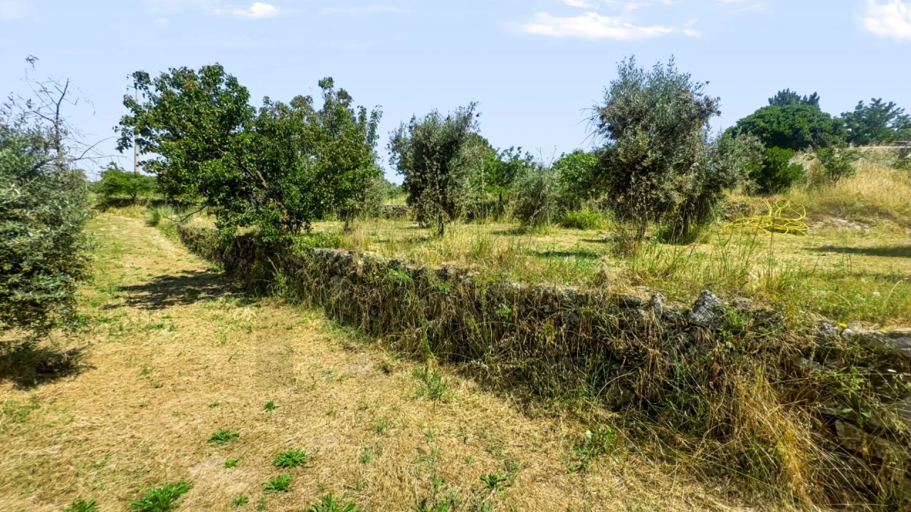 Terreno para Venda em Figueiró da Serra e Freixo da Serra Foto 35
