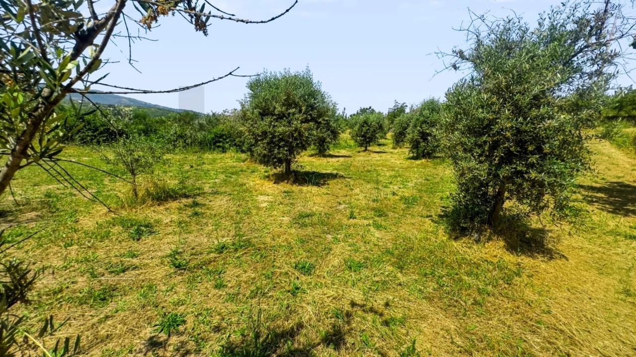 Terreno para Venda em Figueiró da Serra e Freixo da Serra Foto 31