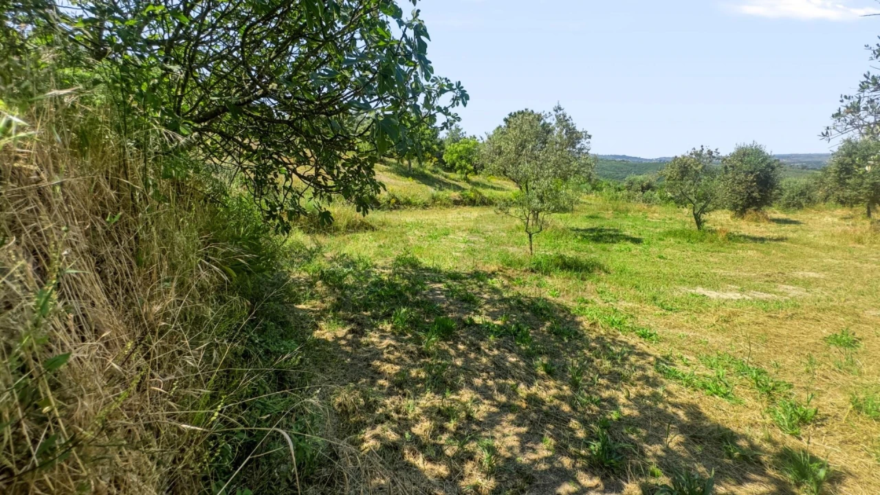 Terreno para Venda em Figueiró da Serra e Freixo da Serra Foto 36
