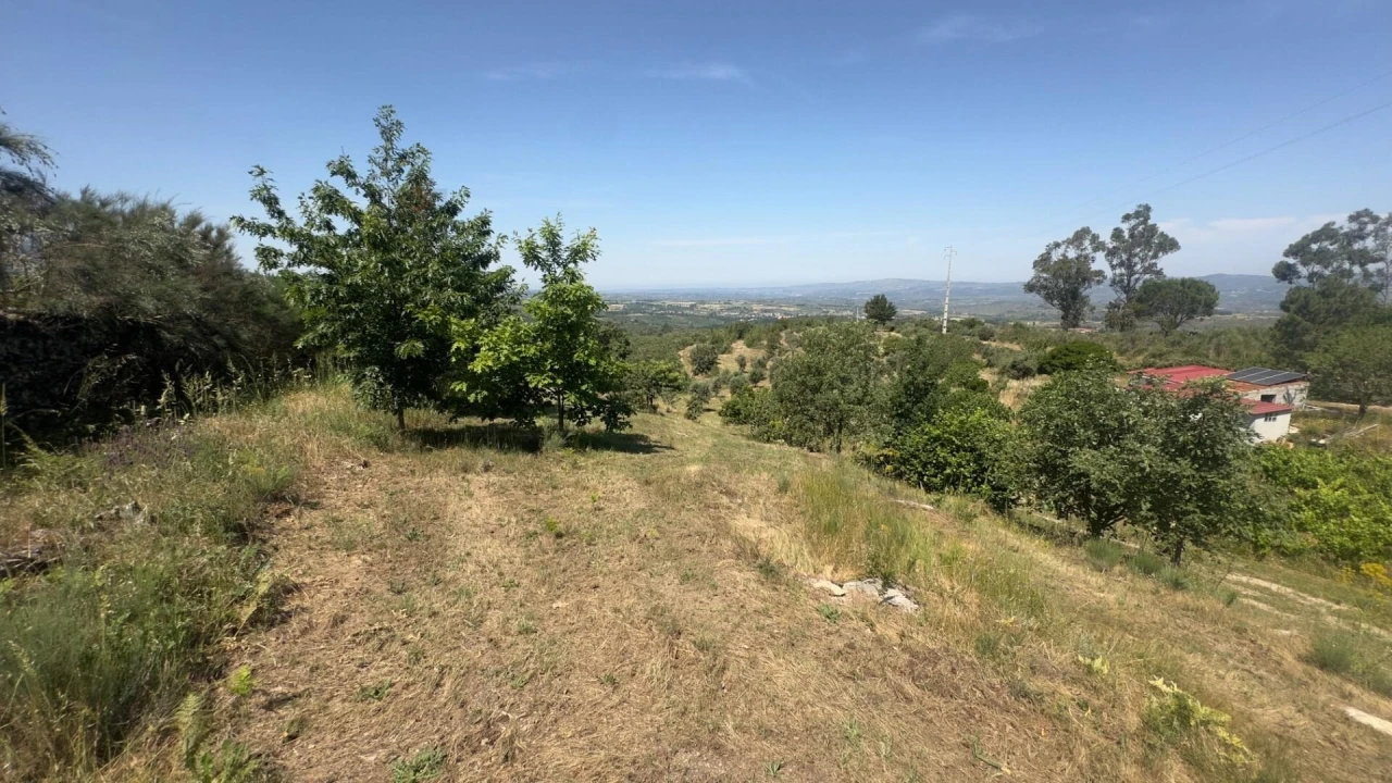 Terreno para Venda em Figueiró da Serra e Freixo da Serra Foto 12