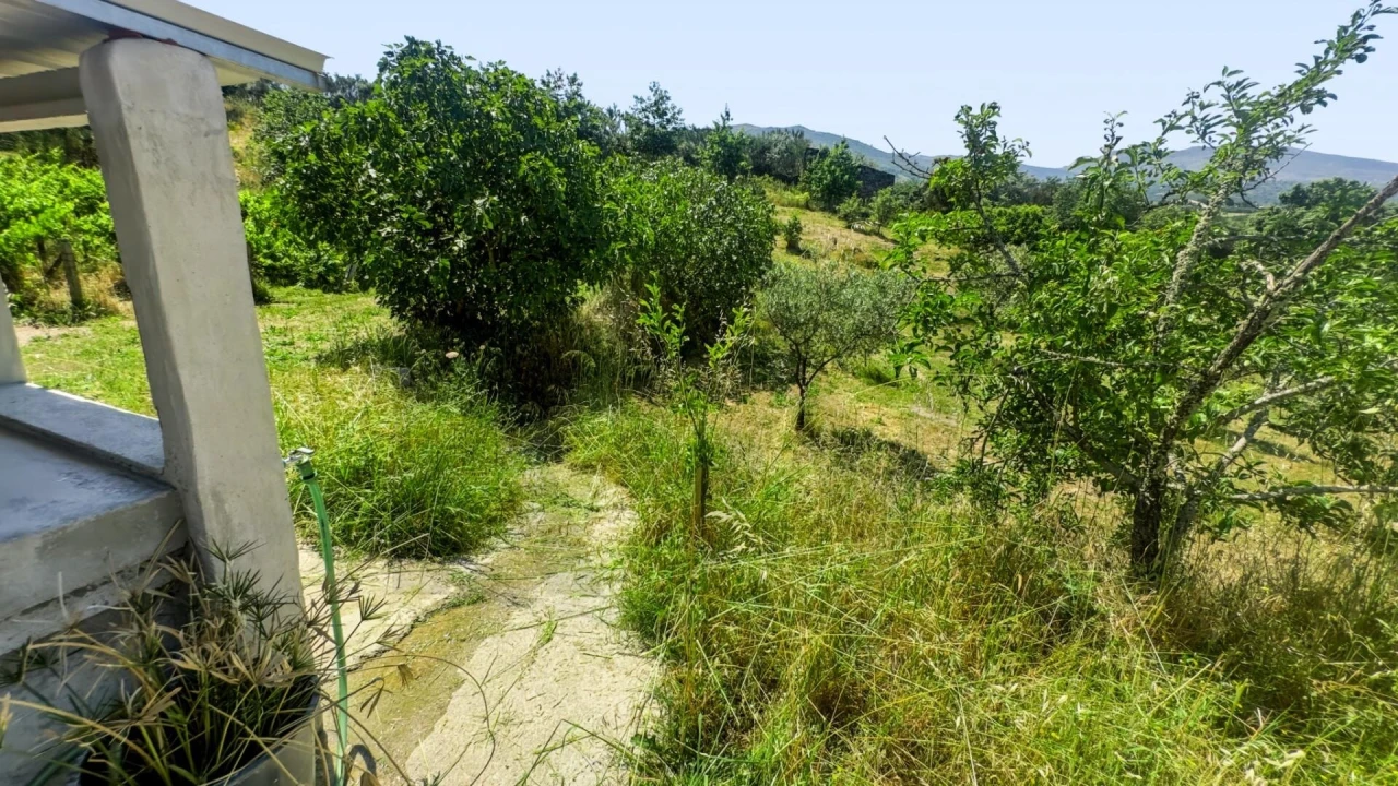 Terreno para Venda em Figueiró da Serra e Freixo da Serra Foto 14