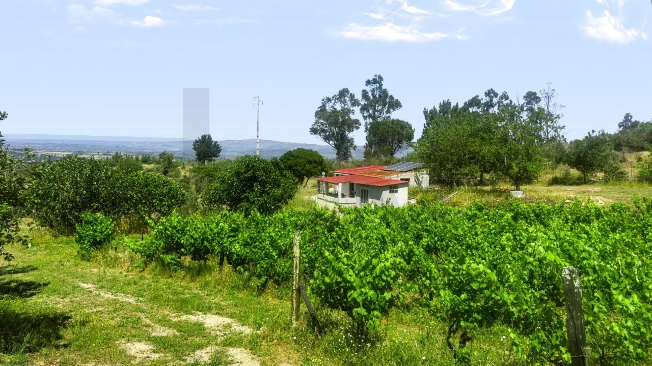 Terreno para Venda em Figueiró da Serra e Freixo da Serra Foto 37