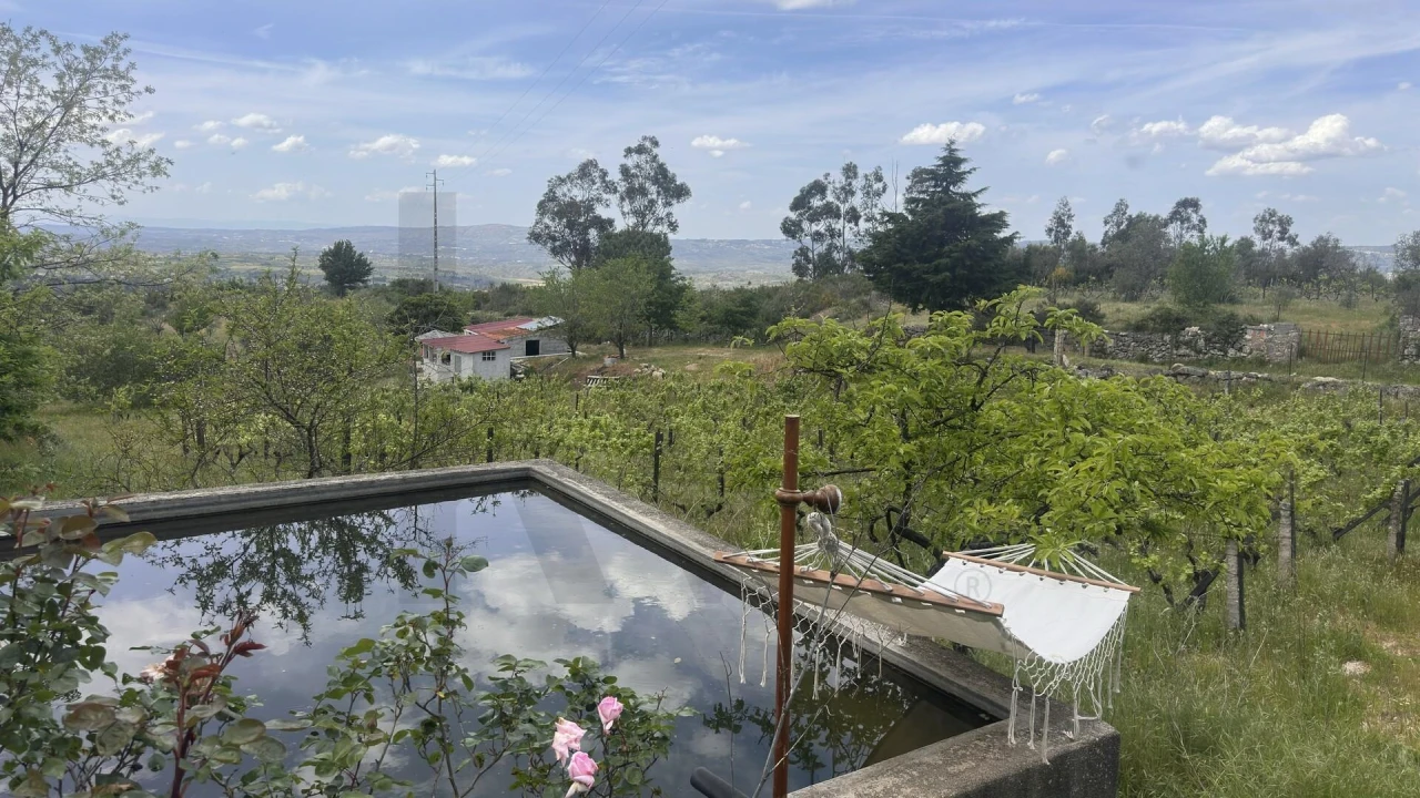 Terreno para Venda em Figueiró da Serra e Freixo da Serra Foto 5