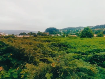 Terreno para Venda em Caminha (Matriz) e Vilarelho