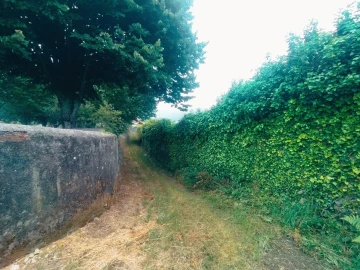 Terreno para Venda em Caminha (Matriz) e Vilarelho