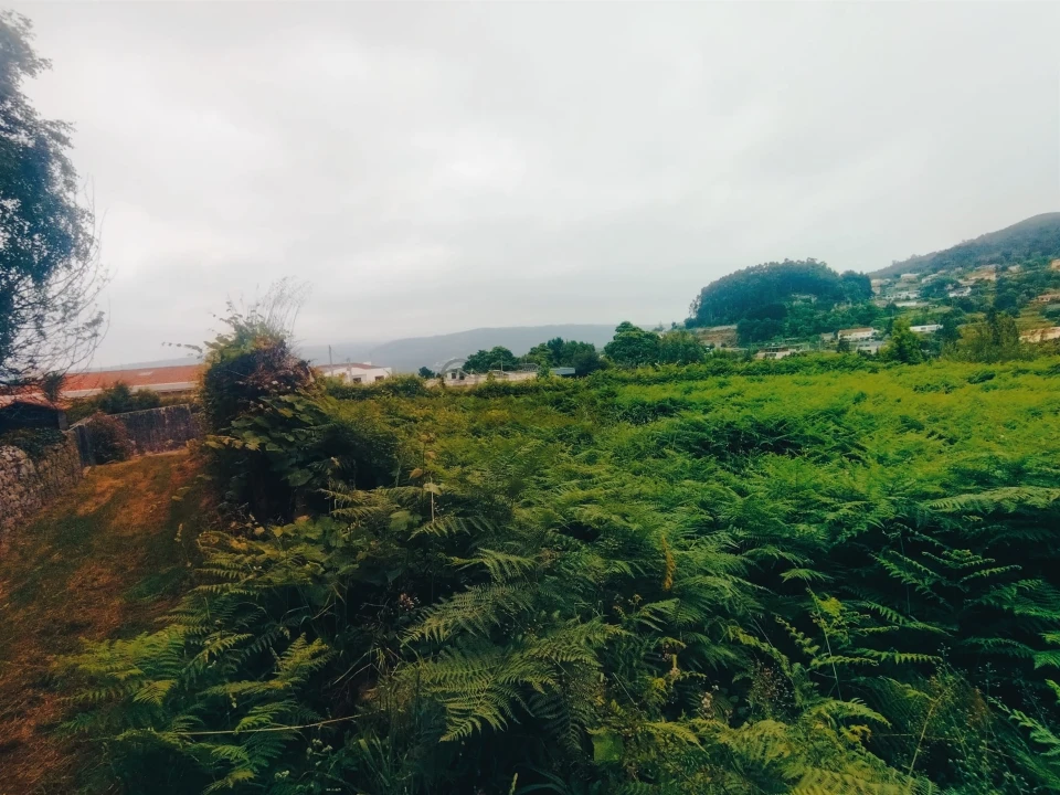 Terreno para Venda em Caminha (Matriz) e Vilarelho Foto 14