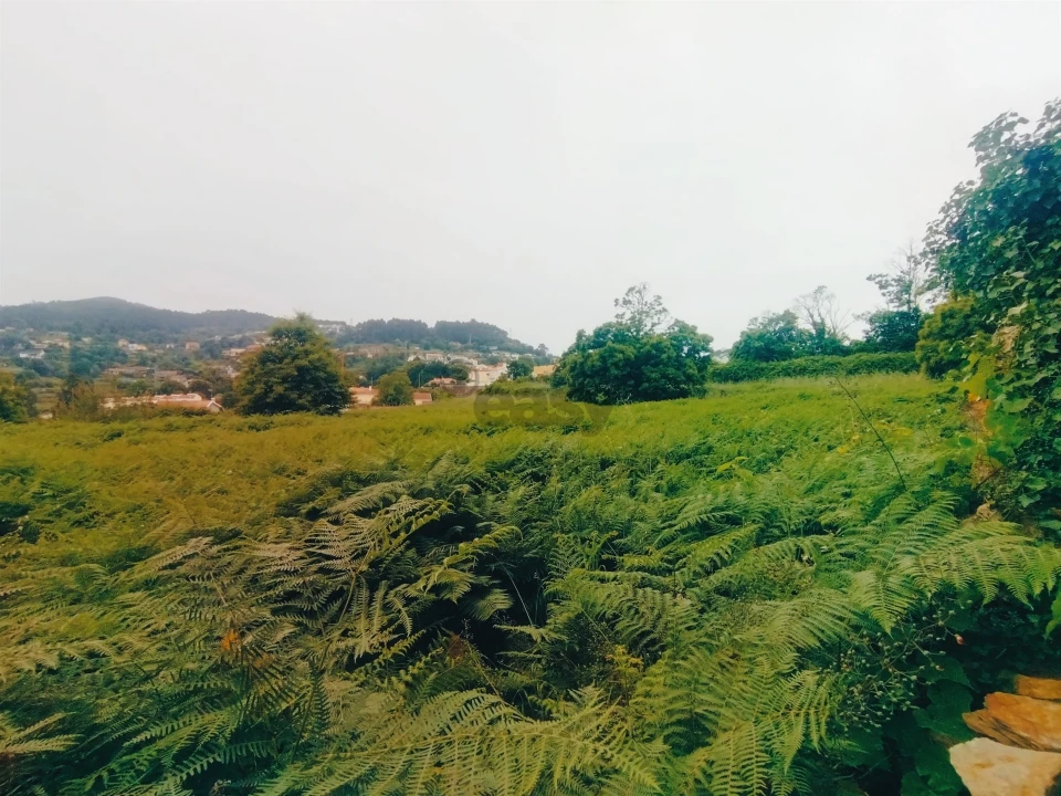 Terreno para Venda em Caminha (Matriz) e Vilarelho Foto 16