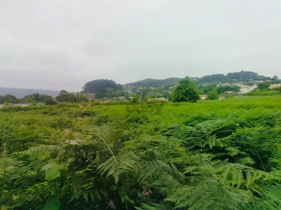 Terreno para Venda em Caminha (Matriz) e Vilarelho Foto 7