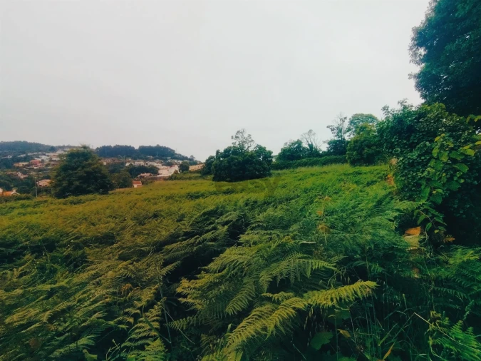 Terreno para Venda em Caminha (Matriz) e Vilarelho Foto 4