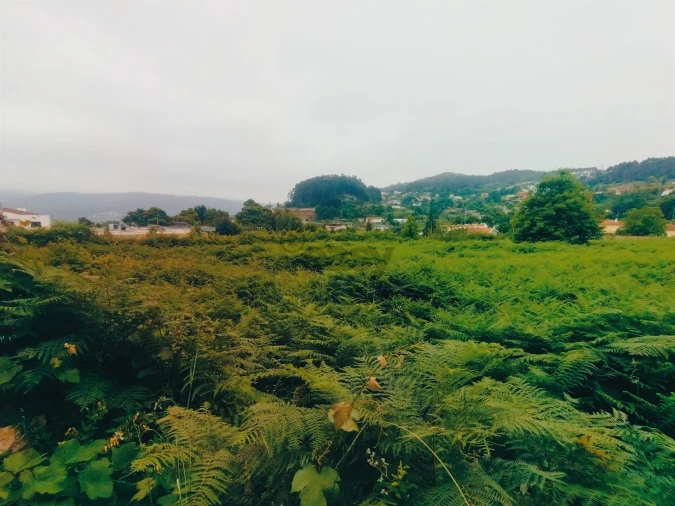 Terreno para Venda em Caminha (Matriz) e Vilarelho Foto 11