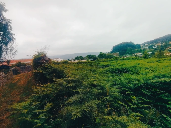 Terreno para Venda em Caminha (Matriz) e Vilarelho Foto 14