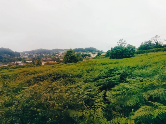 Terreno para Venda em Caminha (Matriz) e Vilarelho Foto 15