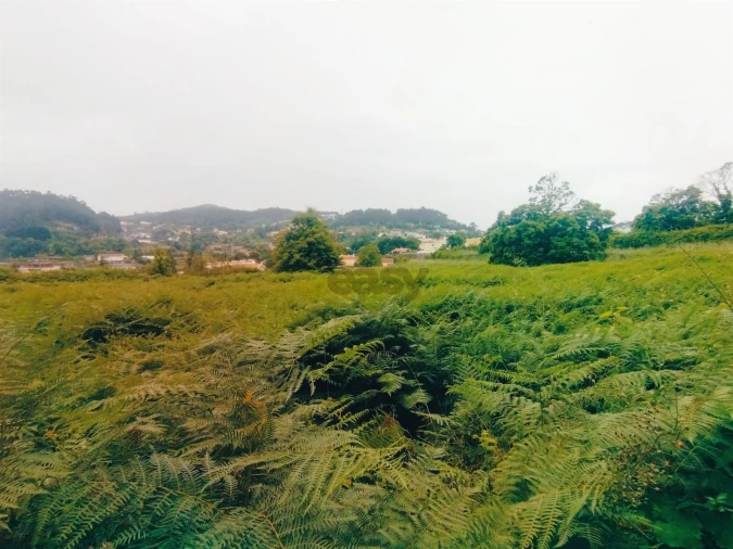 Terreno para Venda em Caminha (Matriz) e Vilarelho Foto 3