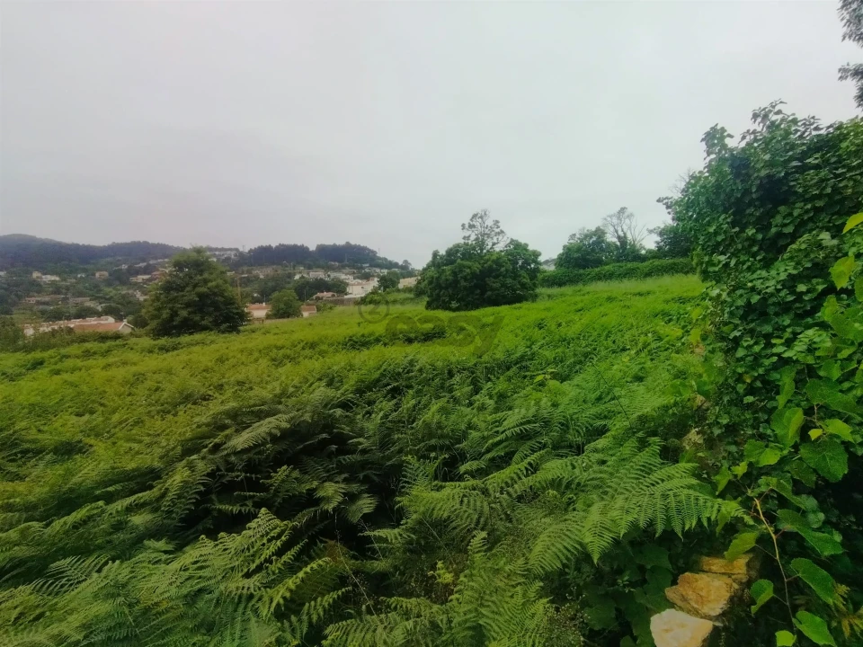 Terreno para Venda em Caminha (Matriz) e Vilarelho Foto 17