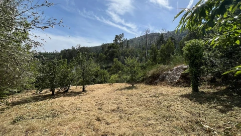 Moradia T4 para Venda em Lanhelas