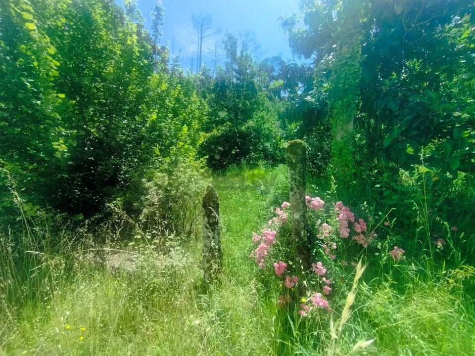 Moradia T4 para Venda em Lanhelas Foto 15