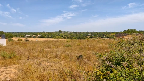 Terreno para Venda em Alcantarilha e Pêra