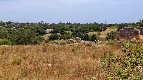Terreno para Venda em Alcantarilha e Pêra