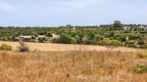 Terreno para Venda em Alcantarilha e Pêra