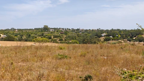 Terreno para Venda em Alcantarilha e Pêra