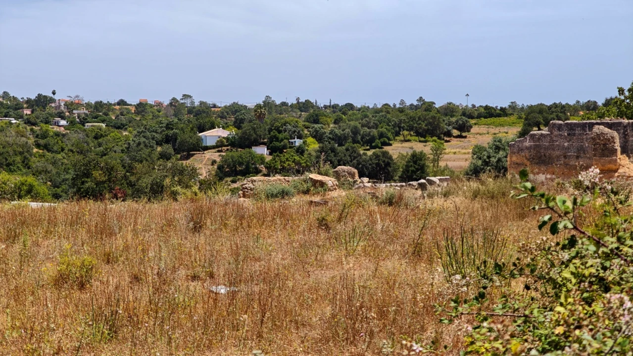 Terreno para Venda em Alcantarilha e Pêra Foto 3
