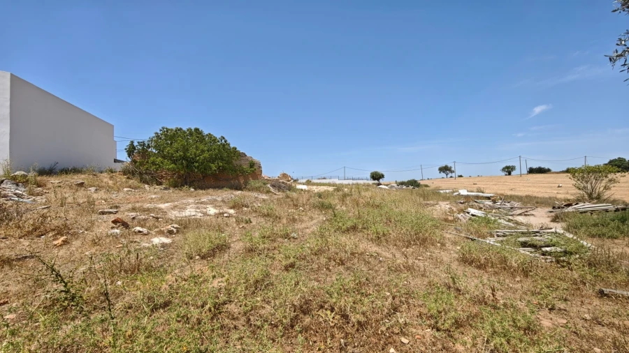 Terreno para Venda em Alcantarilha e Pêra Foto 14