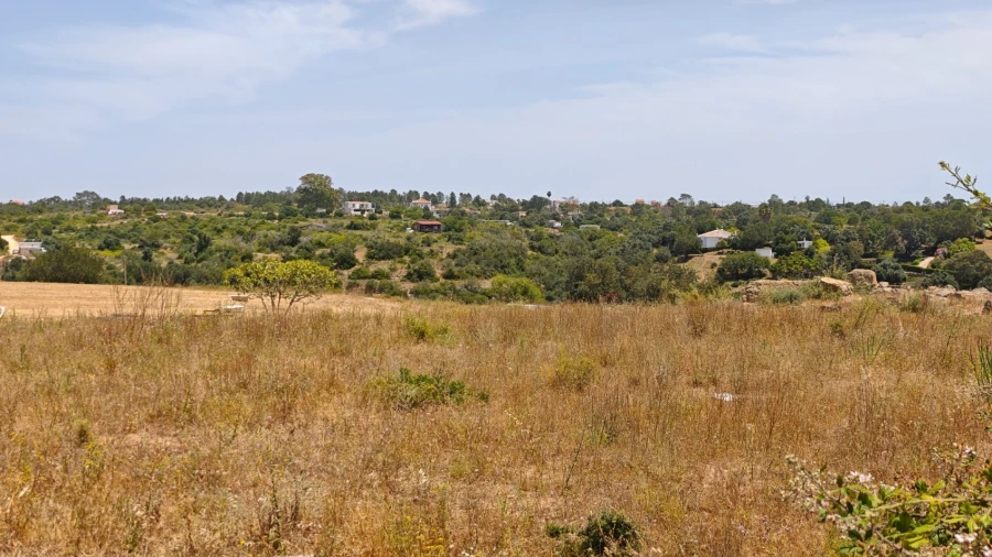 Terreno para Venda em Alcantarilha e Pêra Foto 9