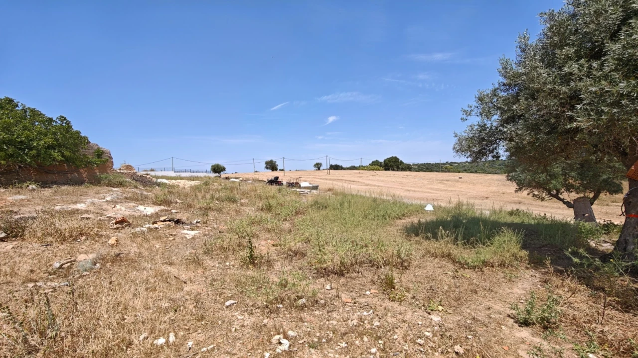 Terreno para Venda em Alcantarilha e Pêra Foto 12