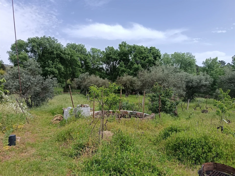 Terreno Agricola ou Rústico para Venda em Aldeia do Bispo, Águas e Aldeia de João Pires Foto 5