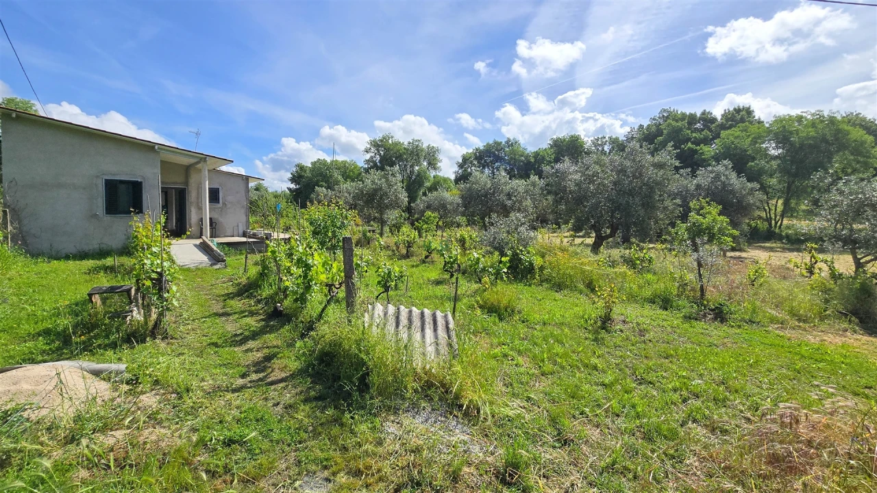 Terreno Agricola ou Rústico para Venda em Aldeia do Bispo, Águas e Aldeia de João Pires Foto 36