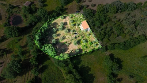 Terreno Agricola ou Rústico para Venda em Aldeia do Bispo, Águas e Aldeia de João Pires