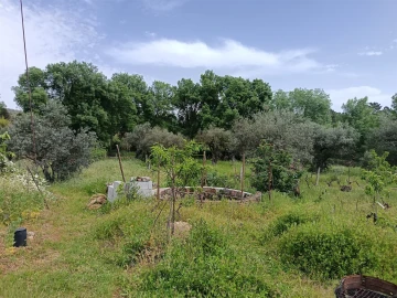 Terreno Agricola ou Rústico para Venda em Aldeia do Bispo, Águas e Aldeia de João Pires