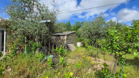 Terreno Agricola ou Rústico para Venda em Aldeia do Bispo, Águas e Aldeia de João Pires