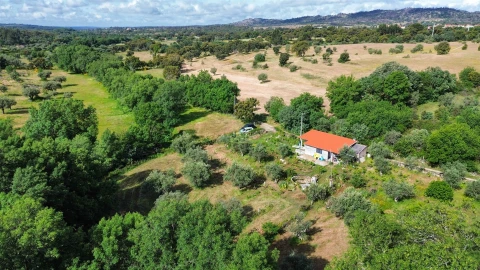 Terreno Agricola ou Rústico para Venda em Aldeia do Bispo, Águas e Aldeia de João Pires